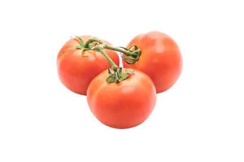 西红柿 (23)超市商品白底图免抠实物摄影png格式图片透明底