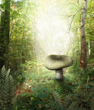 卡通森林蘑菇图片下载