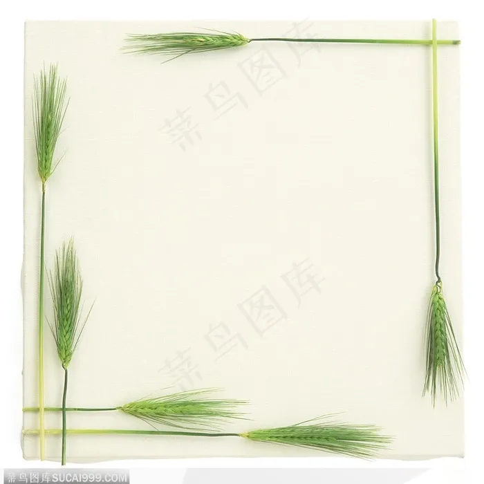 相框边框-青麦子边框