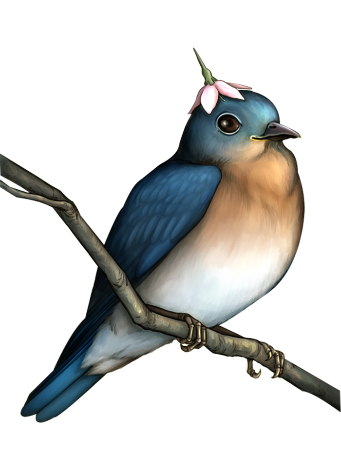 小鸟蓝色简笔