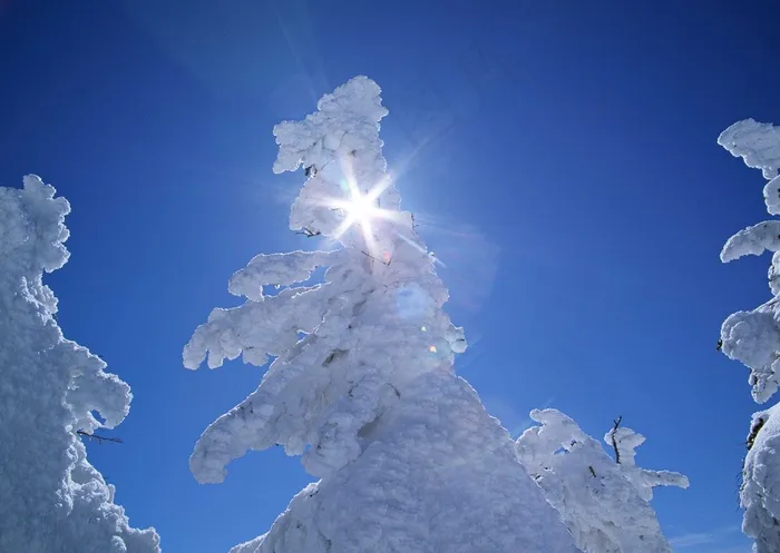 冰天雪地 246
