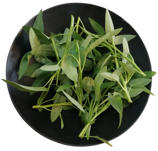 空心菜嫩尖有机蔬菜藤藤菜免抠摄影元素素材