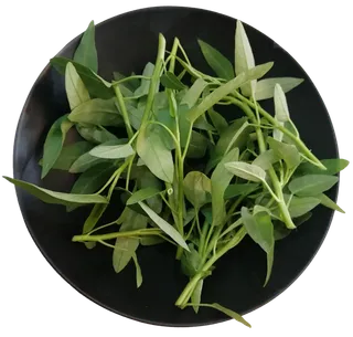 空心菜嫩尖有机蔬菜藤藤菜免抠摄影元素素材