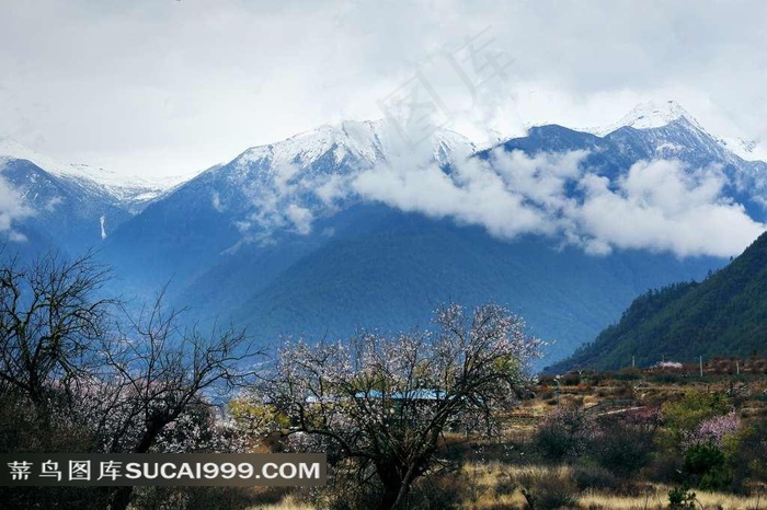 西藏林芝风景素材