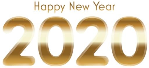 2020 年 PNG免抠(600x275)