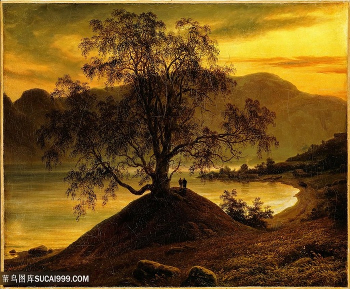 老桦树黄昏美景油画手绘插画