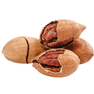 碧根果 (3)干果超市商品白底图免抠实物摄影png格式图片透明底