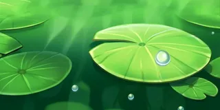 荷叶露水绿色背景