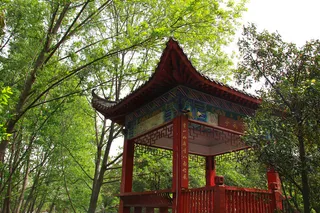 树林中古建筑凉亭