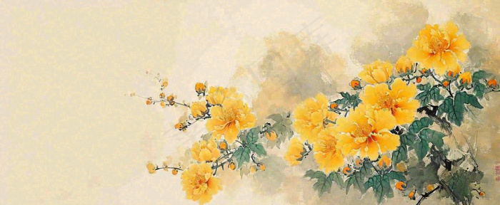 温馨纹理橙色花朵鲜花蝴蝶意境唯美，中国风(1712x704)