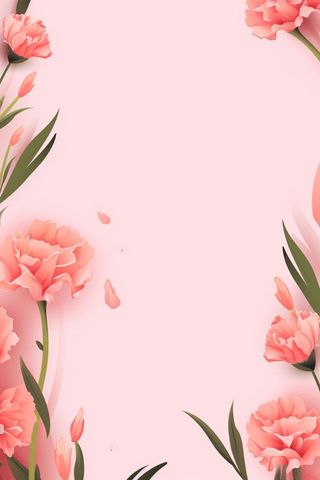 简约粉色康乃馨插画背景