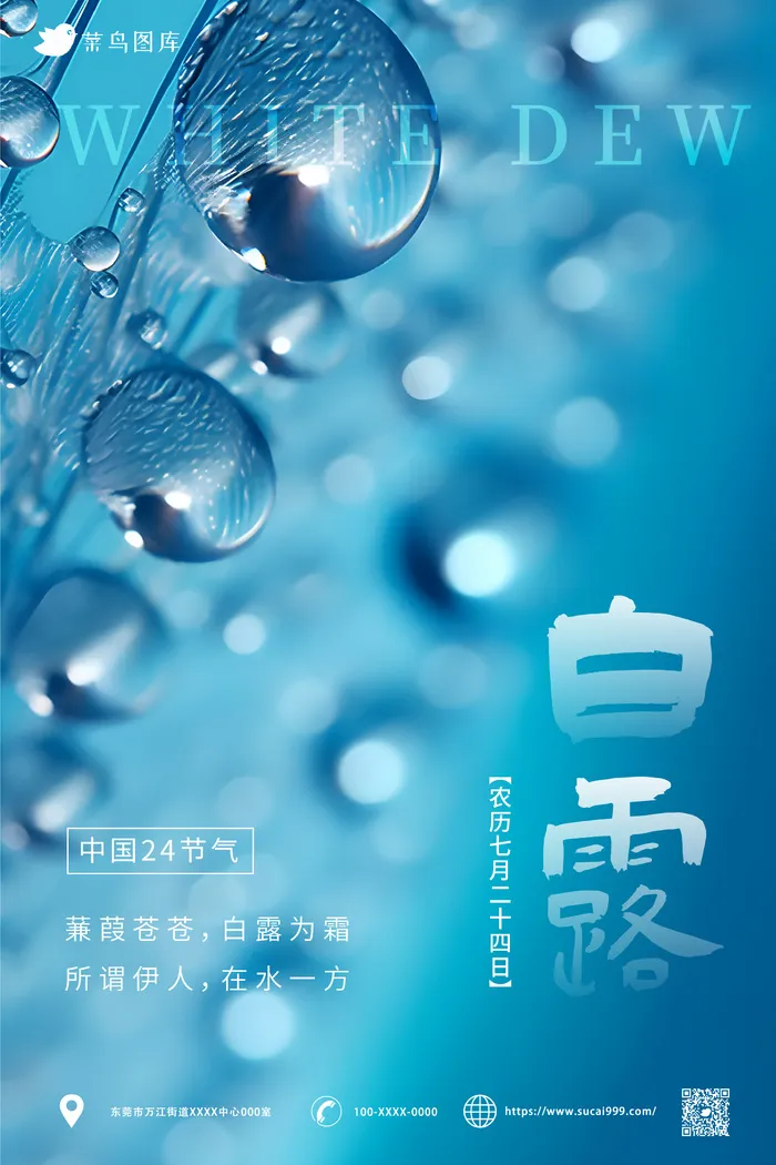 蓝色水珠  中国传统二十四节气-白露海报ai矢量模版下载