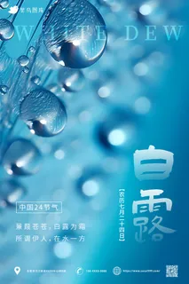 蓝色水珠  中国传统二十四节气-白露海报