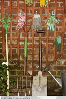 格栅墙面上挂着各式各样的花卉种植工具