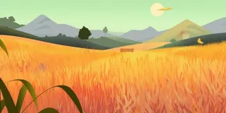 秋季农田丰收金黄背景