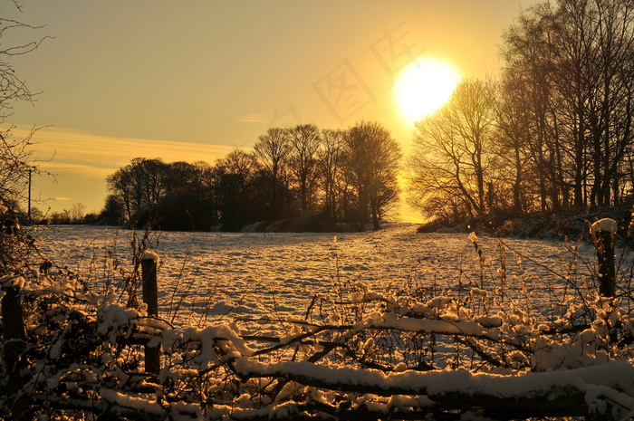 冬天雪地日出图片
