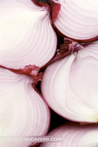 洋葱高清摄影设计素材