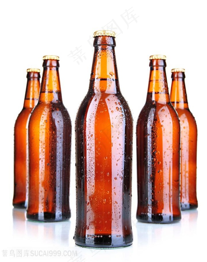 5瓶白底可抠图棕色啤酒瓶