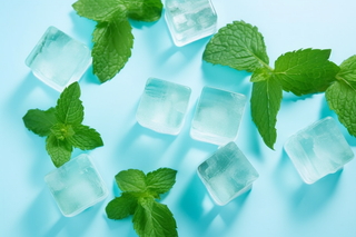 :一张照片是浅蓝色背景下的几个方形冰块和绿色薄荷叶