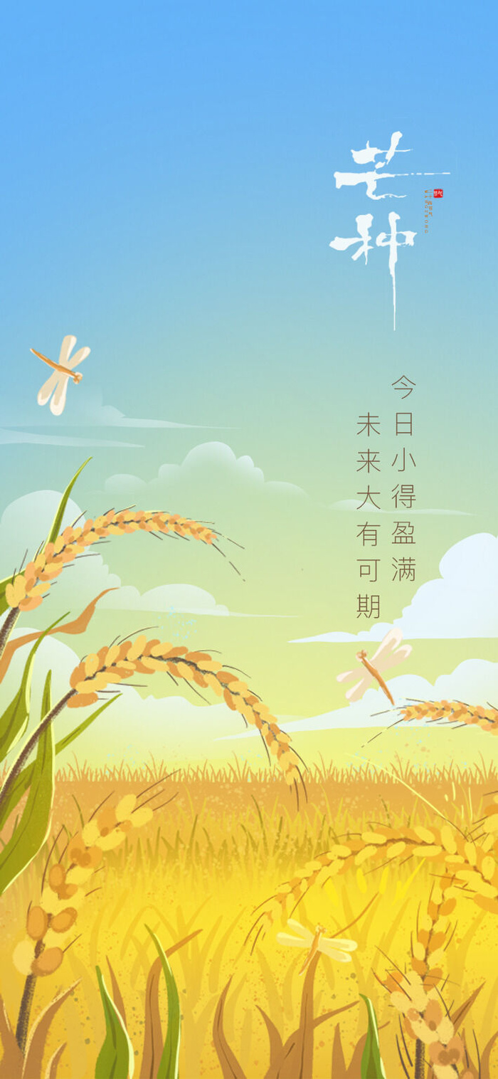 中国传统24节气芒种微信宣传海报psd模版下载