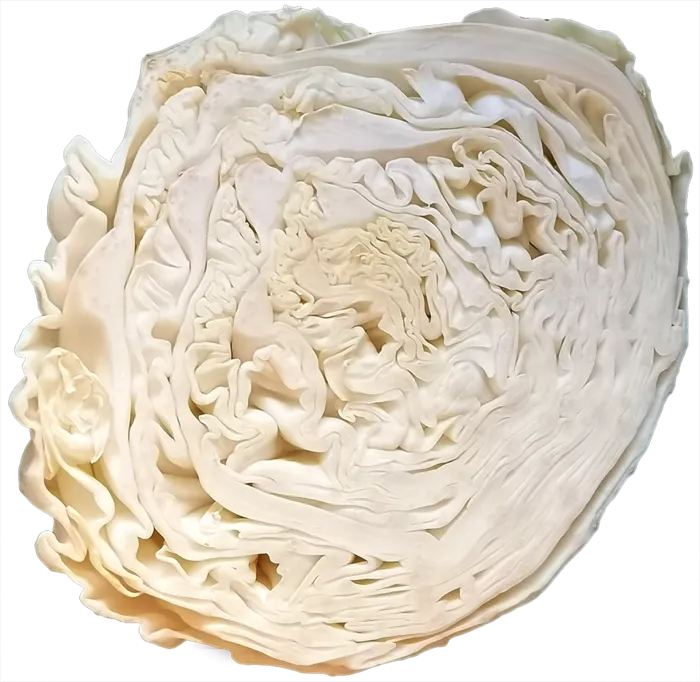 半个大头菜包菜卷心菜圆白菜菜丝十字花科蔬菜免抠实物实拍摄影元素素材psd模版下载