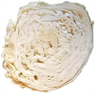 半个大头菜包菜卷心菜圆白菜菜丝十字花科蔬菜免抠实物实拍摄影元素素材