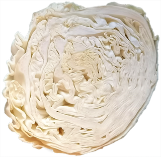 半个大头菜包菜卷心菜圆白菜菜丝十字花科蔬菜免抠实物实拍摄影元素素材