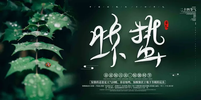 深绿写实二十四节气惊蛰展板psd模版下载