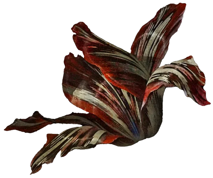 复古油画质感宫廷花卉植物花朵鲜花拼贴图案PNG免抠图片设计素材