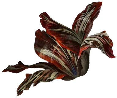 复古油画质感宫廷花卉植物花朵鲜花拼贴图案PNG免抠图片设计素材