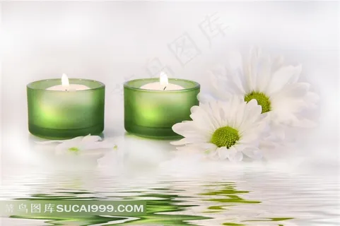 水面上绿色的烛台和白色的菊花 水面上绿色的烛台和白色的菊花