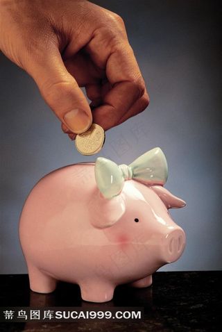 粉色小猪存钱罐