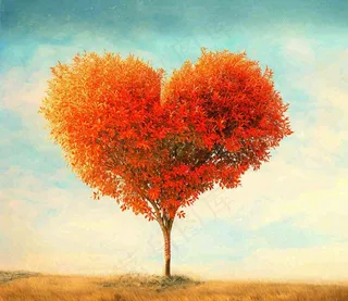 秋天爱心树木橙红色落叶蓝天温馨