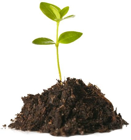 土壤 PNG免抠(426x454)