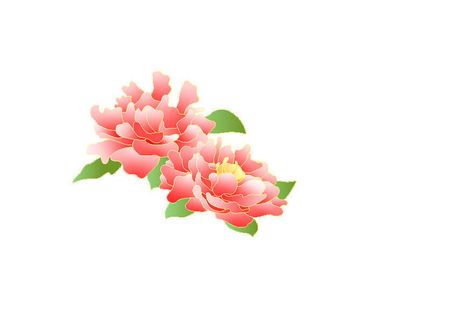 手绘国潮中国风古典牡丹花国花花卉装饰图案PSD设计素材