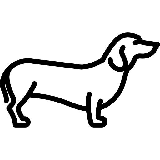 腊肠犬 PNG免抠(512x512)