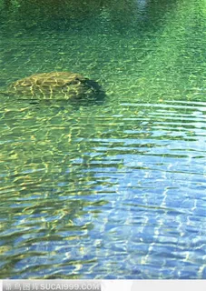 清澈见底的溪水