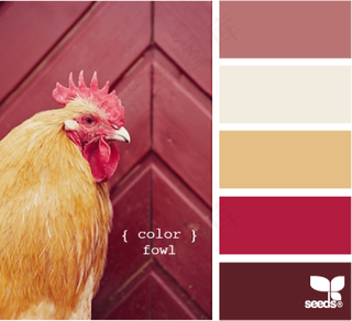 家禽鸟类配色色卡色彩搭配