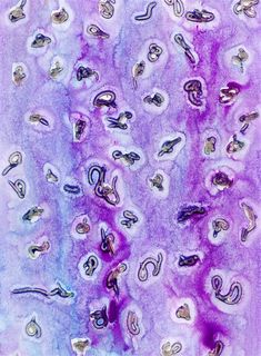 油画材质花纹复古图片素材