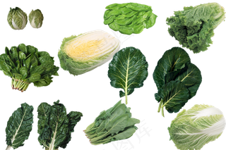 蔬菜、水果、作料