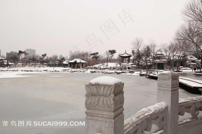 天津北宁公园雪景摄影