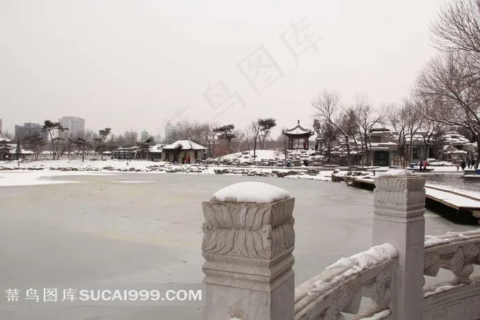 天津北宁公园雪景摄影