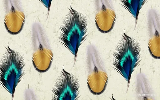 羽毛高清时尚艺术背景