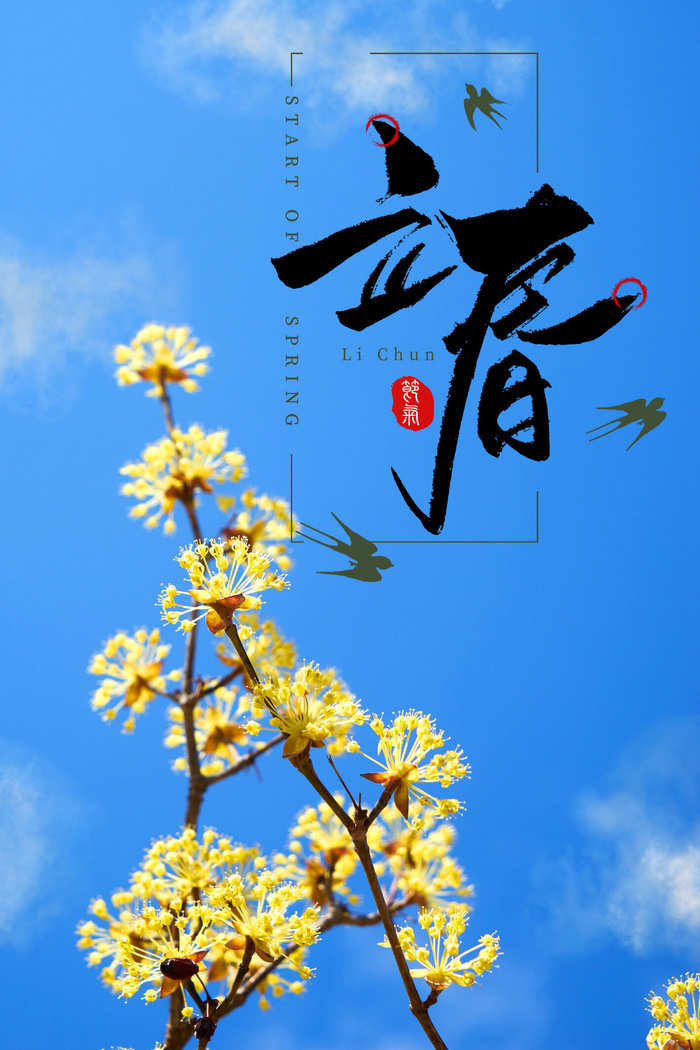 立春_14psd模版下载