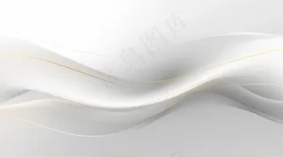 白金大气华丽线年会总结背景