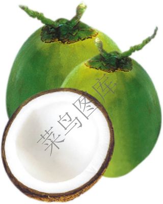 椰子，椰汁高清2