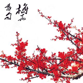 唯美水墨梅花装饰画