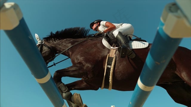 马, 跳跃, 雄伟, 移动, 人, 纯种, 赛车, 跑步