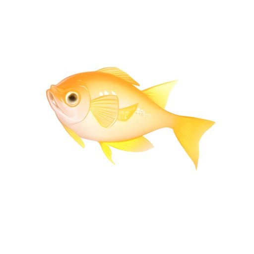 鱼免抠