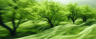 绿色树木虚幻树林摄影图